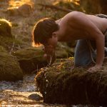 essere umano ligabue