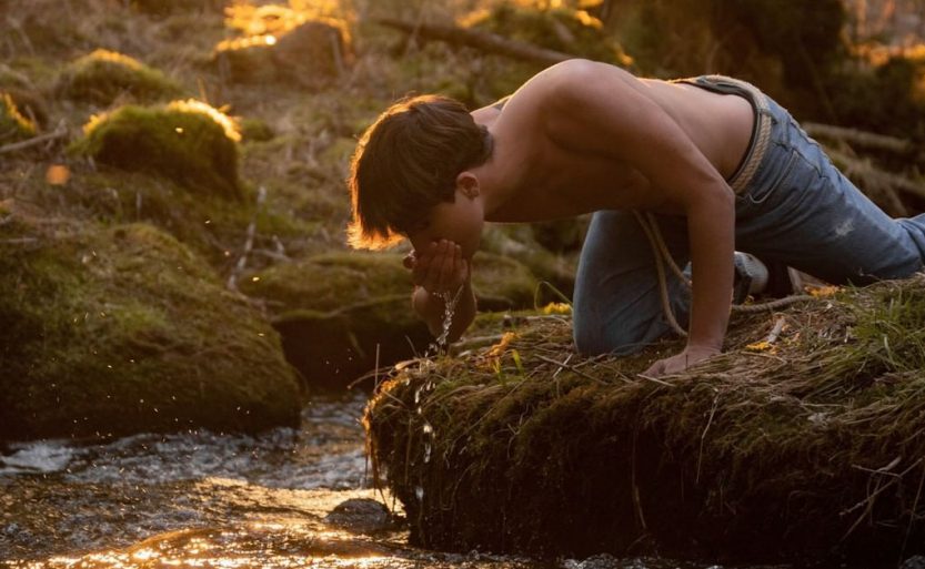 essere umano ligabue