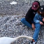 ghali fidanzato storia