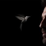 cesare cremonini colibrì