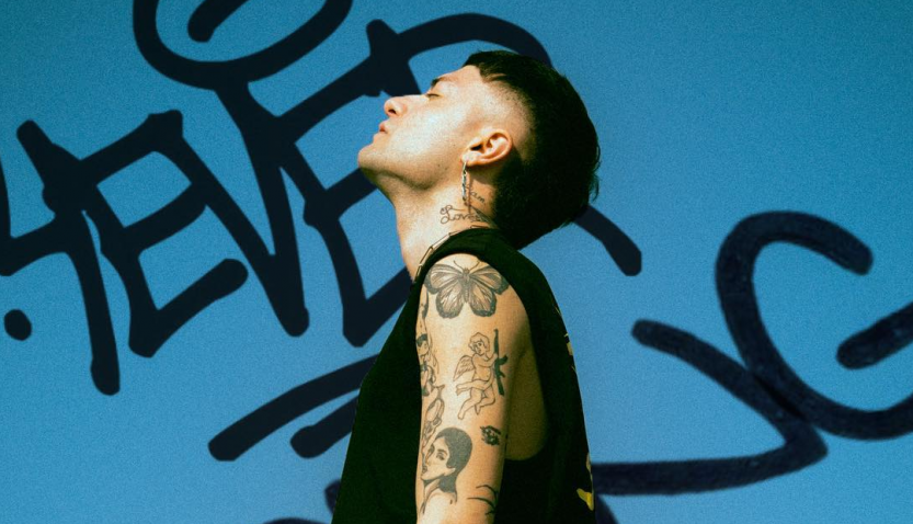 hal quartier intervista